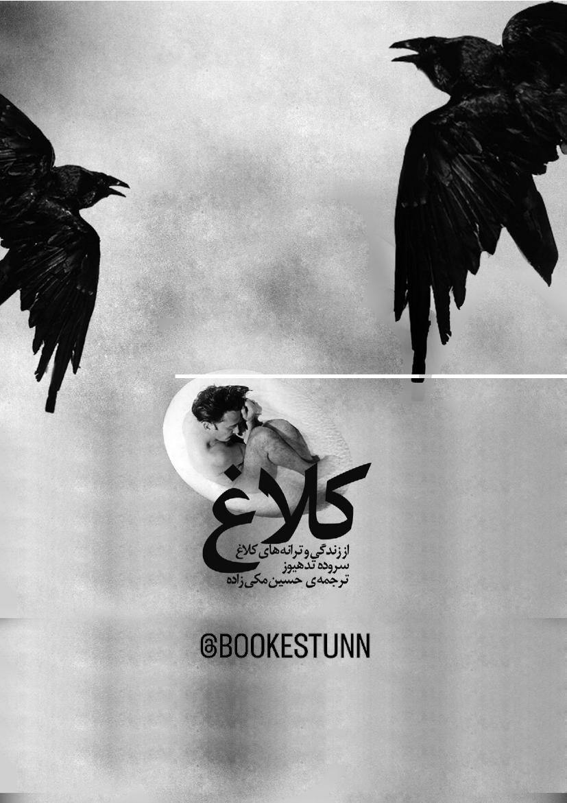 کلاغ - تد هیوز