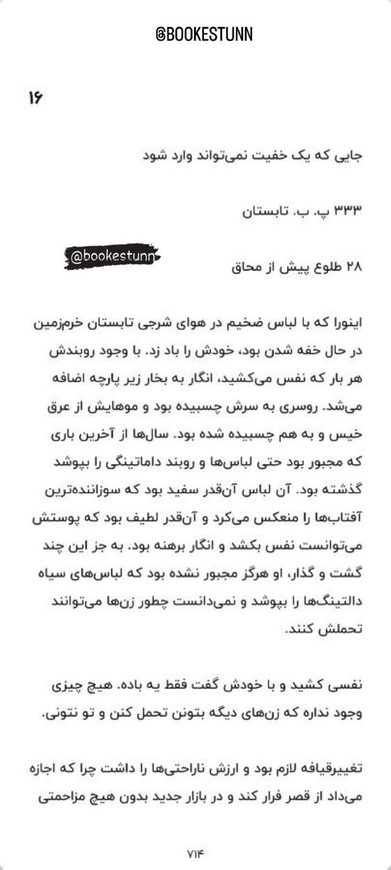 جنگ روشنایی روز جلد دوم - پیتر وی برت