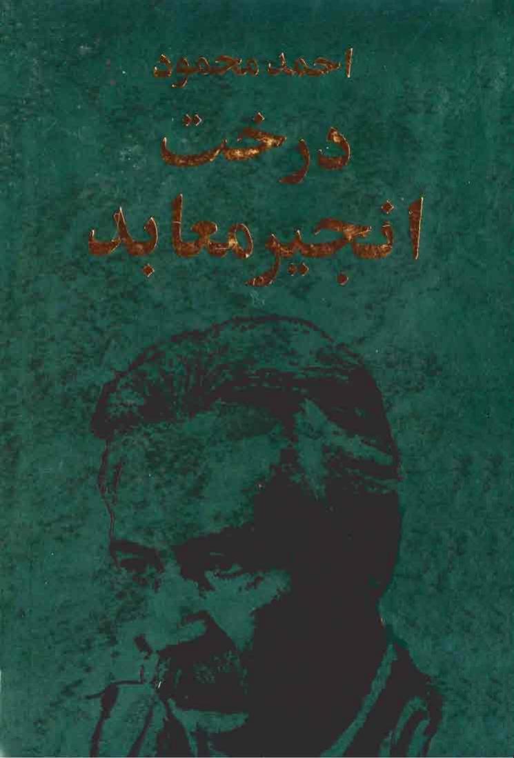 درخت انجیر معابد جلد دوم - احمد محمود