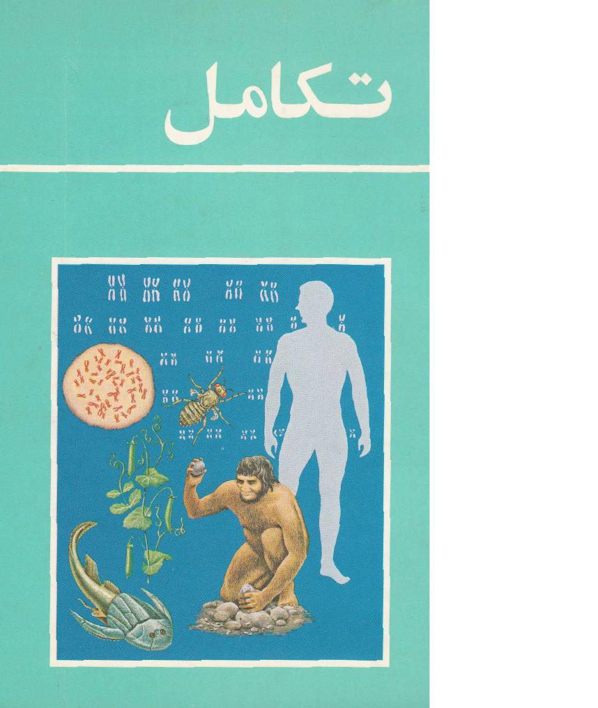 تکامل – فرانک رودز