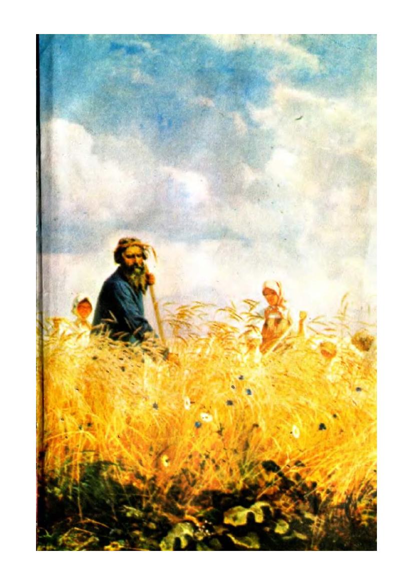 زمین نوآباد – میخائیل شولوخف