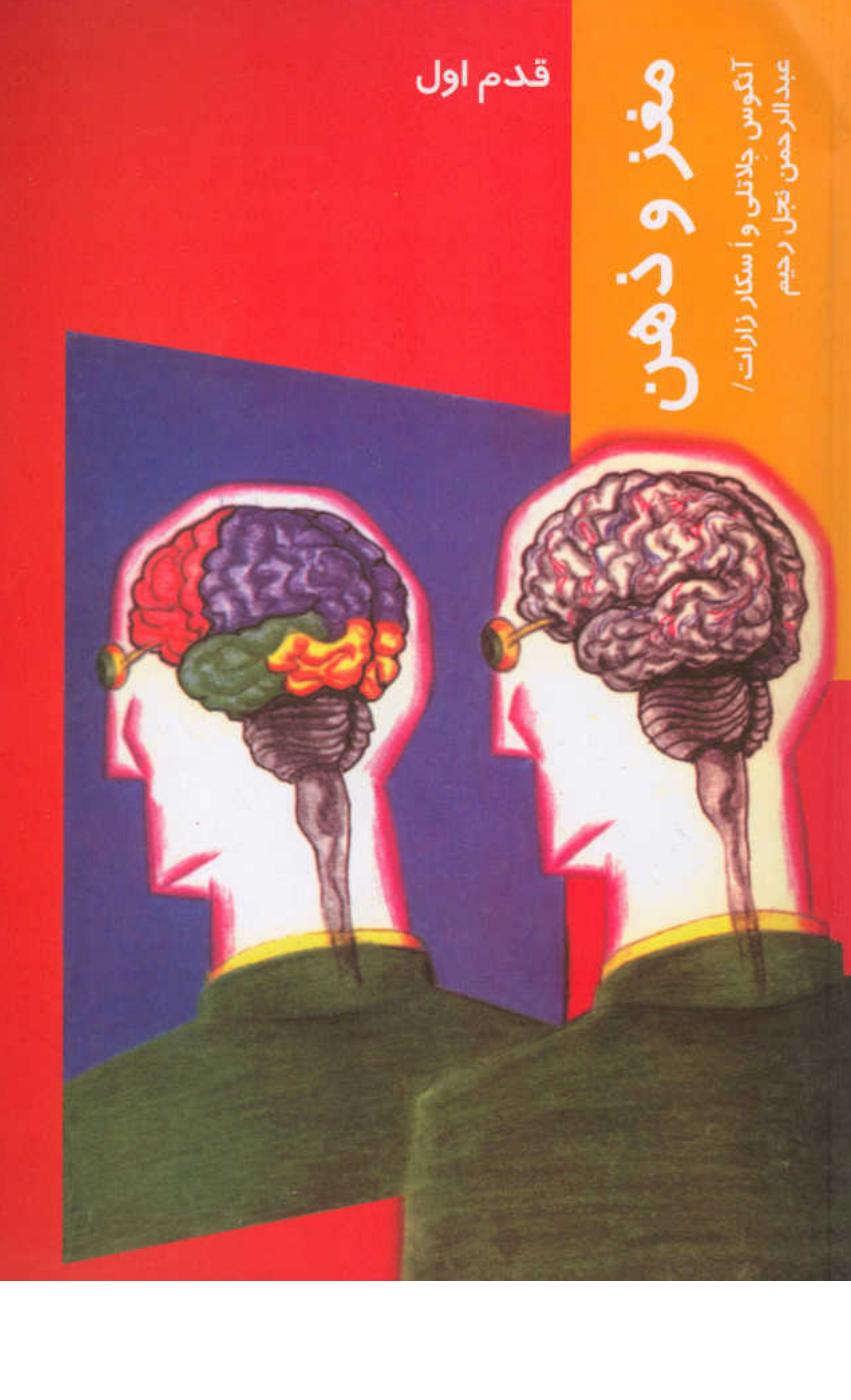 مغز و ذهن – آنگوس جلاتلی