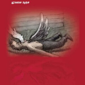 خدا احمق ها را دوست دارد